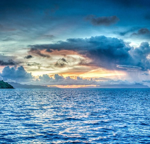 UN high seas treaty agreed to by member states to protect vast swathes of planet’s oceans – JURIST