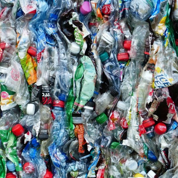 HRW says fossil fuel phaseout and rights safeguards are essential for Global Plastics Treaty – JURIST
