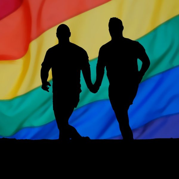Mauritius Supreme Court decriminalizes sodomy in landmark decision – JURIST