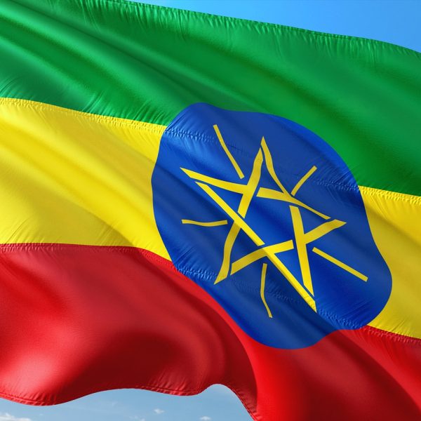 Ethiopia ambassador to Somalia issues apology following news of possible expulsion and increased tensions over Somaliland – JURIST